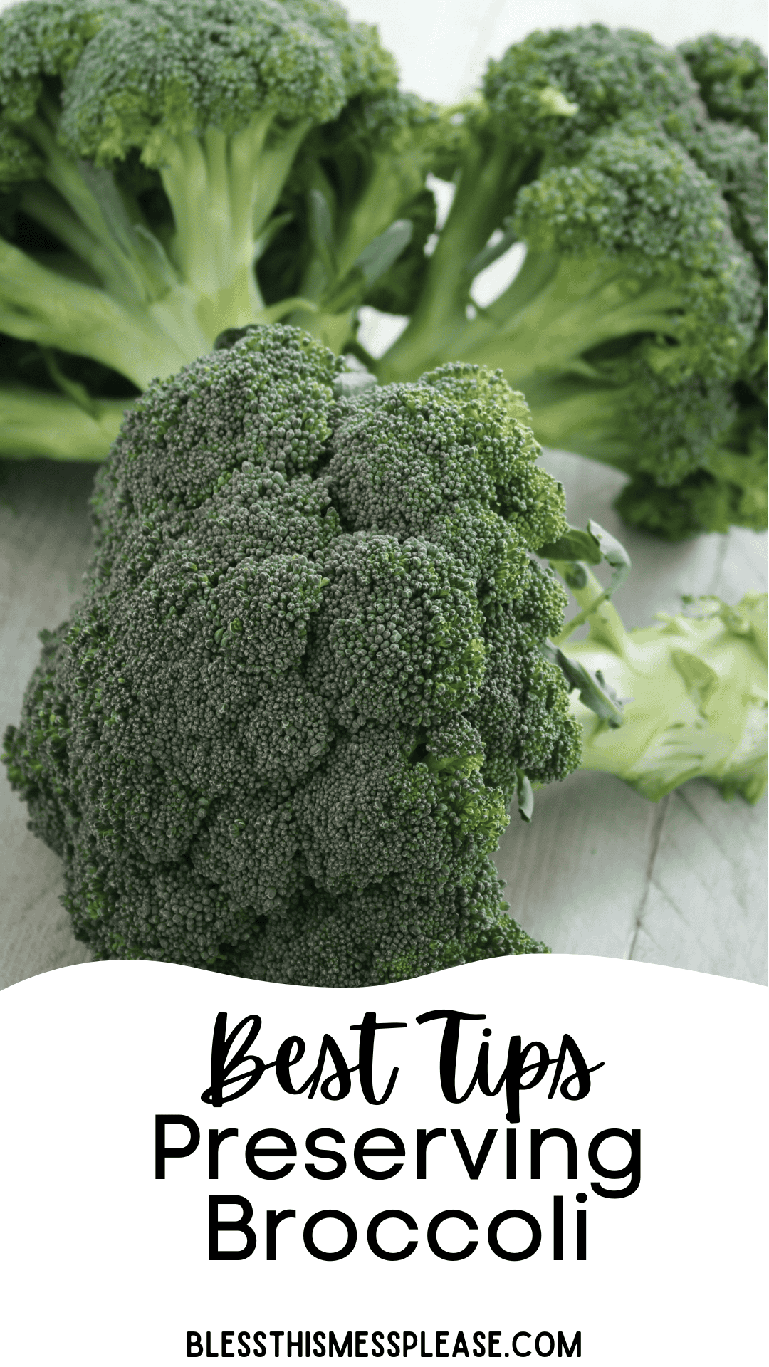 Fresh broccoli heads on a light surface with overlaid text that reads “Best Tips Preserving Broccoli” and the website “blessthismessplease.com” at the bottom.