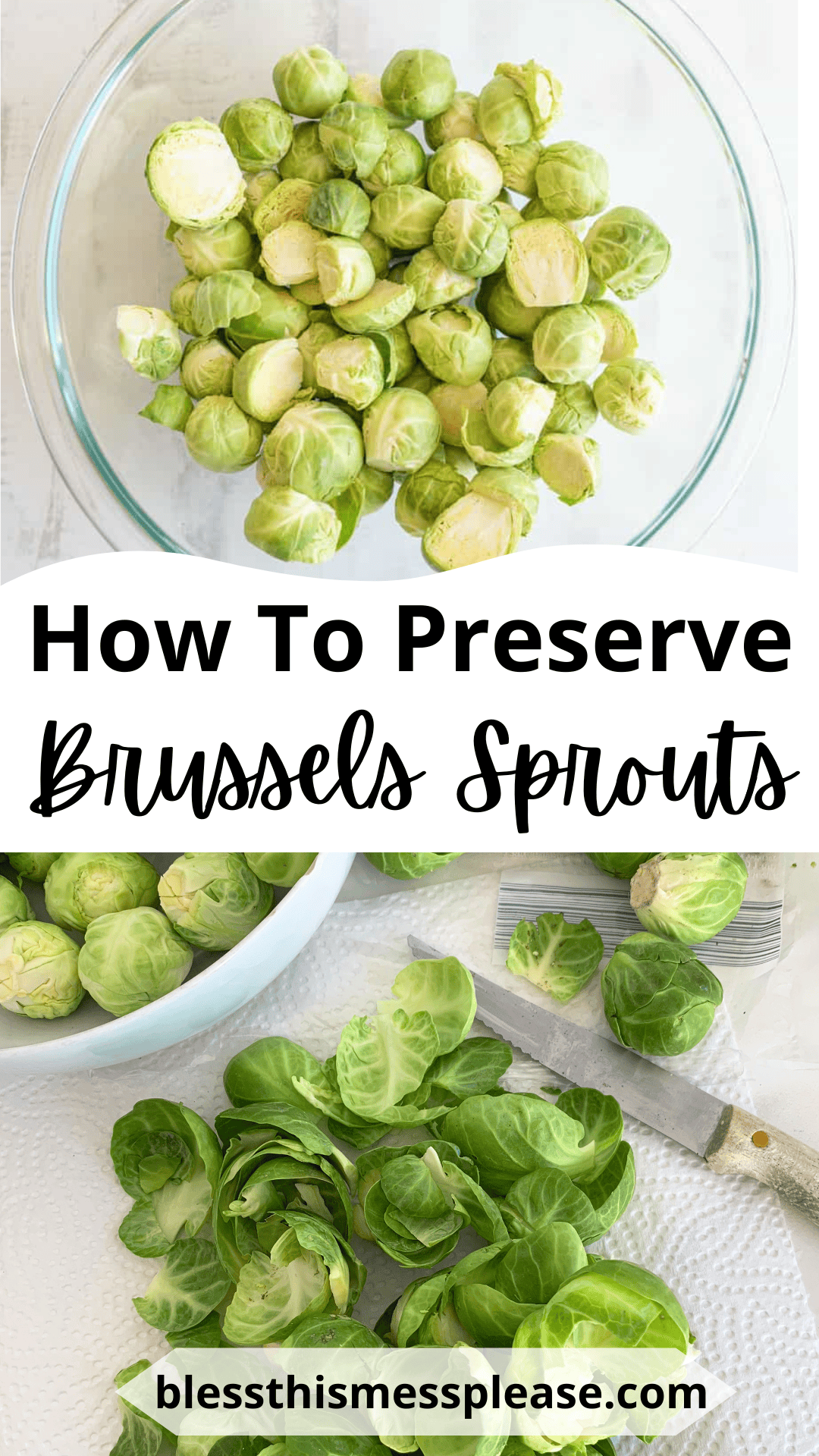 A bowl of halved Brussels sprouts, sliced Brussels sprouts and a knife on a cutting board, with the text “How To Preserve Brussels Sprouts” and “blessthismessplease.com.”.