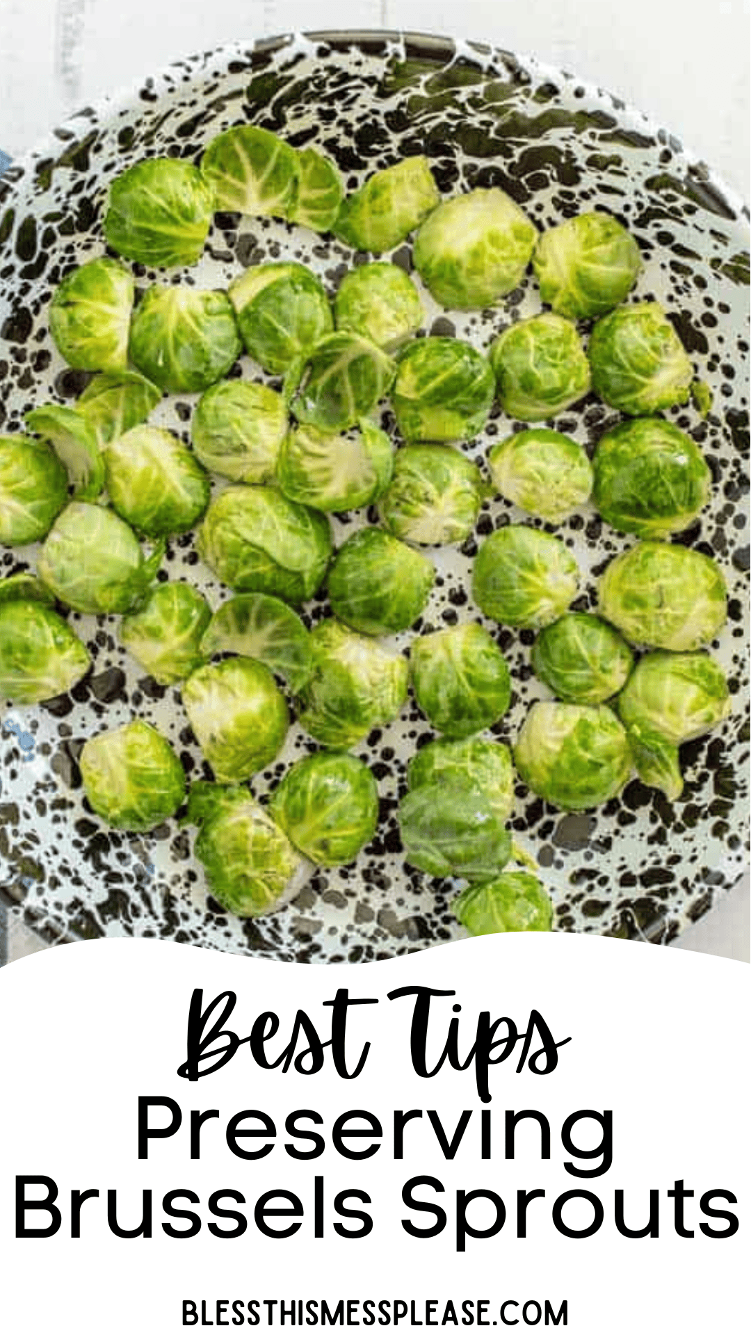 Overhead view of fresh Brussels sprouts spread out on a speckled enamel tray, with text below that reads, Best Tips Preserving Brussels Sprouts and blessthismessplease.com.