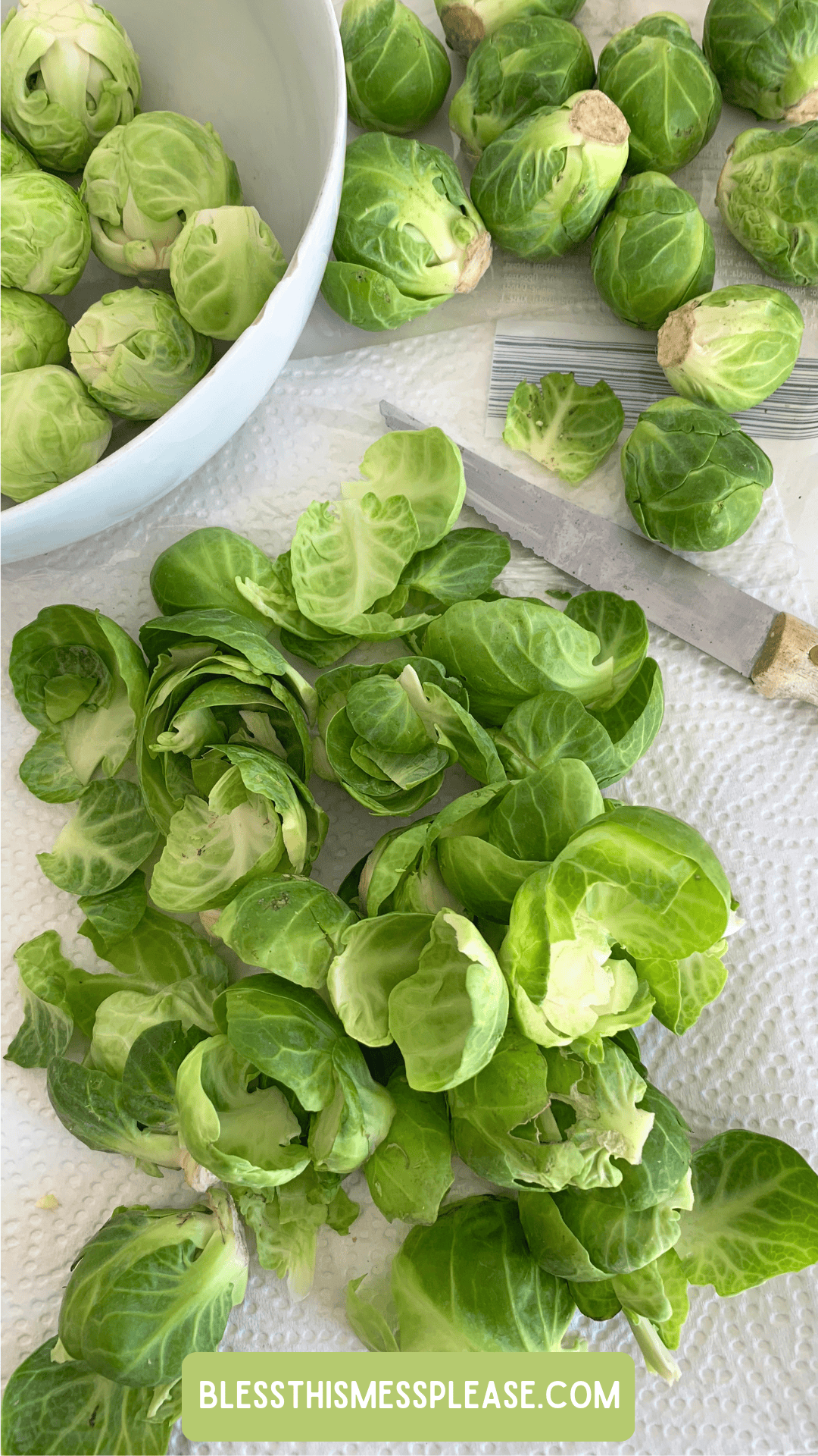 Brussels sprouts being prepped on a paper towel showing how to preserve brussels sprouts, with some whole and some trimmed or halved, a knife and a white bowl nearby. A green label at the bottom reads blessthismessplease.com.