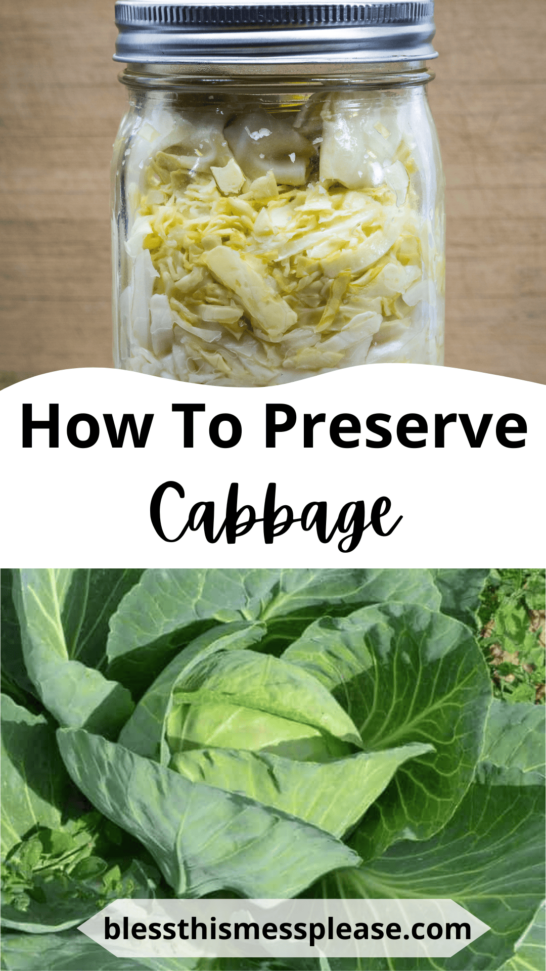 A jar of preserved cabbage sits above text reading “How To Preserve Cabbage,” illustrating the process of how to preserve cabbage, with a fresh cabbage plant growing in a garden and blessthismessplease.com at the bottom.