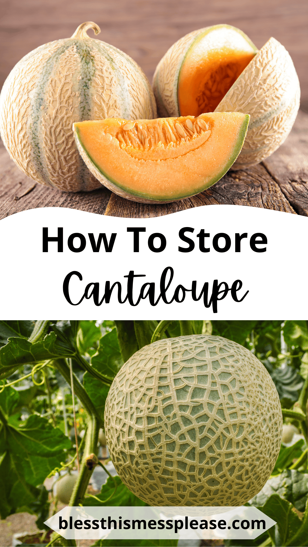 Two images of cantaloupe: one shows a whole cantaloupe and slices on a wooden surface, the other shows a cantaloupe growing on the vine. Text reads, “How To Store Cantaloupe” and offers tips on how to preserve cantaloupe for freshness.
