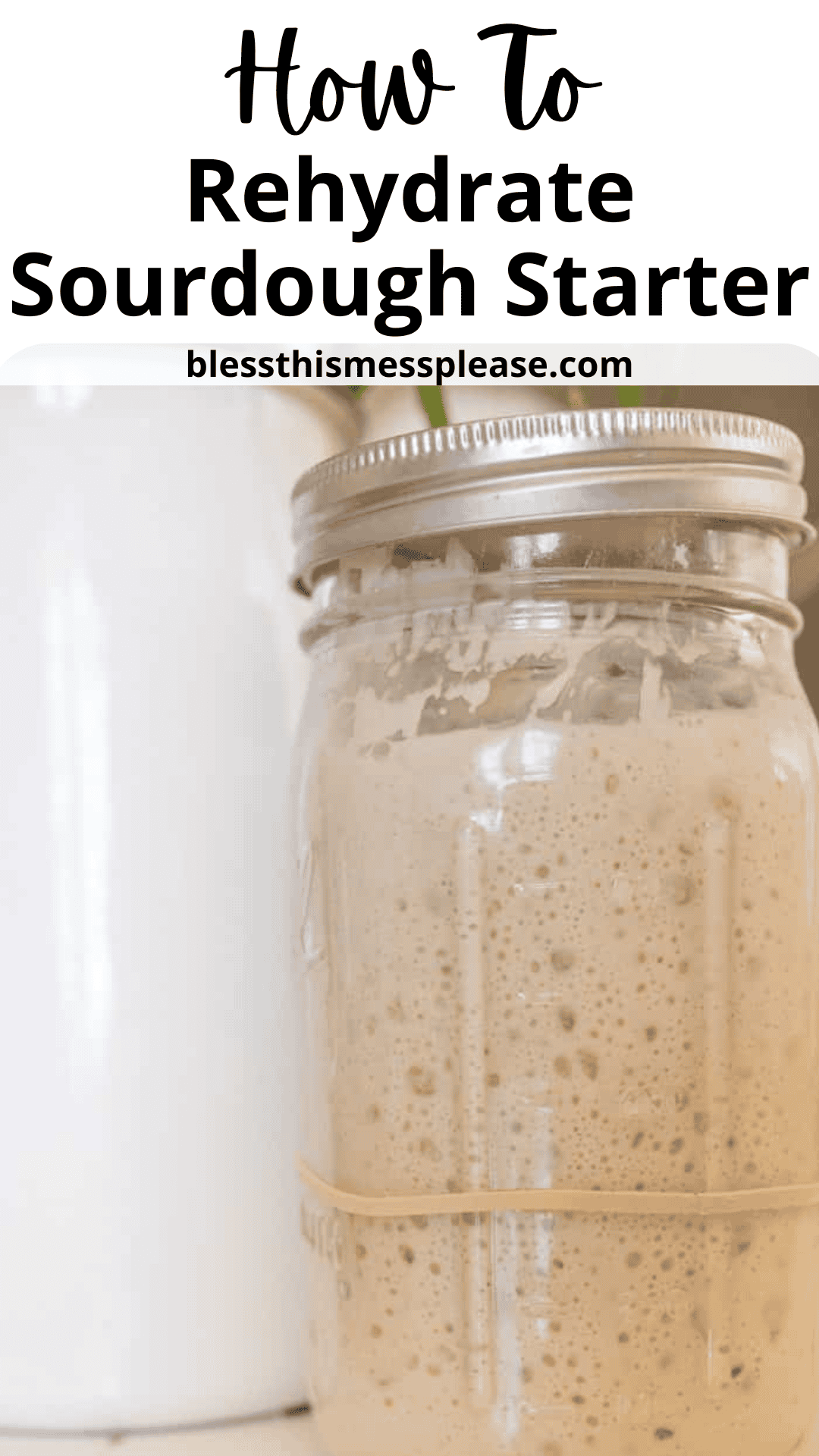 A glass jar filled with bubbly, active sourdough starter sits on a counter, secured with a rubber band. Text above explains how to rehydrate sourdough starter and features the website blessthismessplease.com.