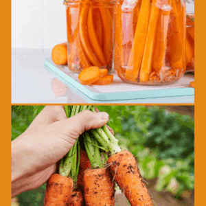 A hand holds freshly picked, dirt-covered carrots; above, glass jars filled with pickled carrot sticks show how to preserve carrots on a kitchen counter. Text at the bottom reads blessthismessplease.com.