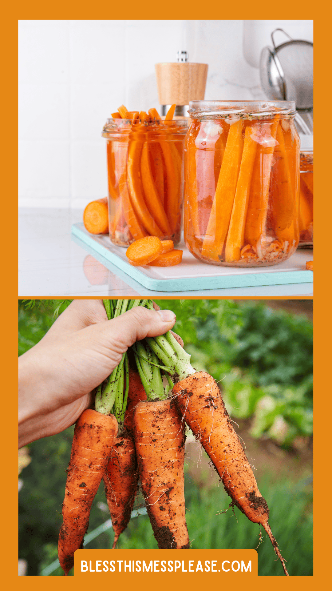 A hand holds fresh, dirt-covered carrots outdoors below a kitchen scene with glass jars of pickled carrots and carrot slices on a counter. Text at the bottom reads blessthismessplease.com.
