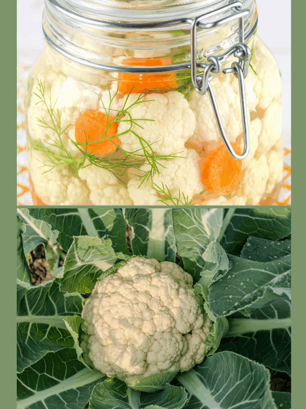 A glass jar of pickled cauliflower with carrots and dill sits above a close-up of a cauliflower head growing in a garden, showing how to preserve cauliflower. The website BLESSTHISMESSPLEASE.COM is at the bottom.