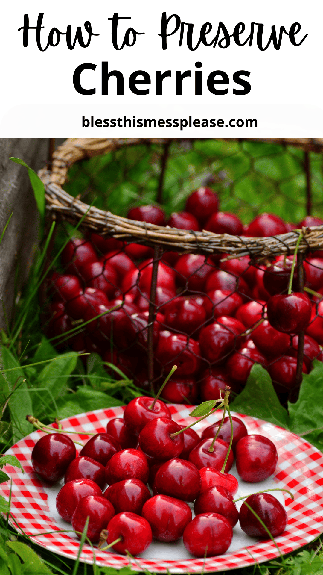 A basket of fresh cherries sits on grass, with a red-and-white checkered plate of cherries in front. At the top, “How To Preserve Cherries” is written, with a website link to blessthismessplease.com.