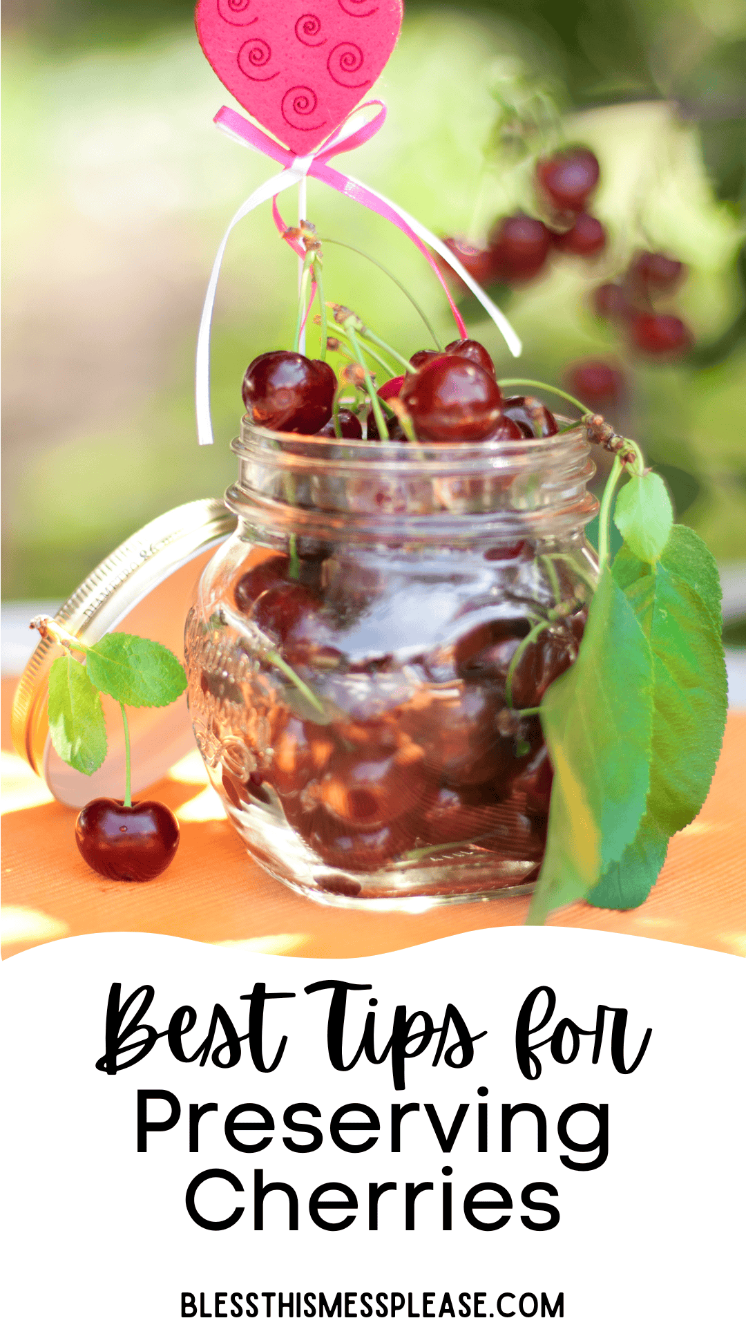 A small glass jar filled with fresh cherries sits on an outdoor table, with a few cherries and green leaves attached to the lid. The text below reads, Best Tips for How To Preserve Cherries.
