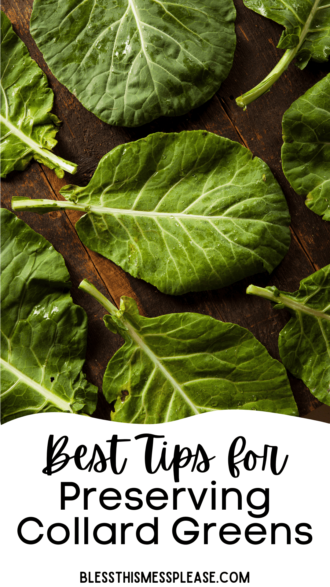 Several fresh collard green leaves are spread out on a dark wooden surface. Text at the bottom reads, Best Tips for How to Preserve Collard Greens and blessthismessplease.com.