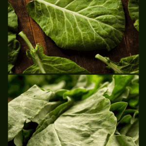 Large, dark green collard green leaves are displayed on a rustic wooden surface in the top section and shown in a close-up pile below. Text at the bottom reads blessthismessplease.com—perfect for learning how to preserve collard greens.