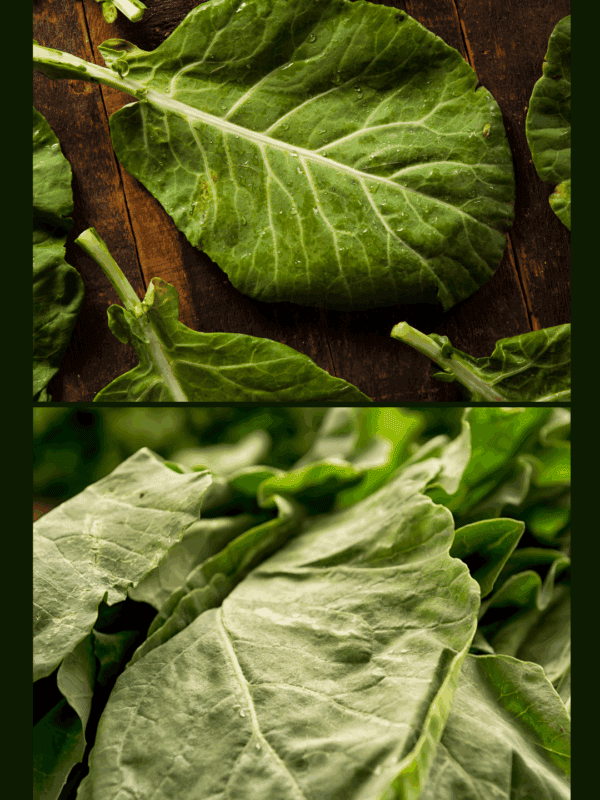 Large, dark green collard green leaves are displayed on a rustic wooden surface in the top section and shown in a close-up pile below. Text at the bottom reads blessthismessplease.com—perfect for learning how to preserve collard greens.