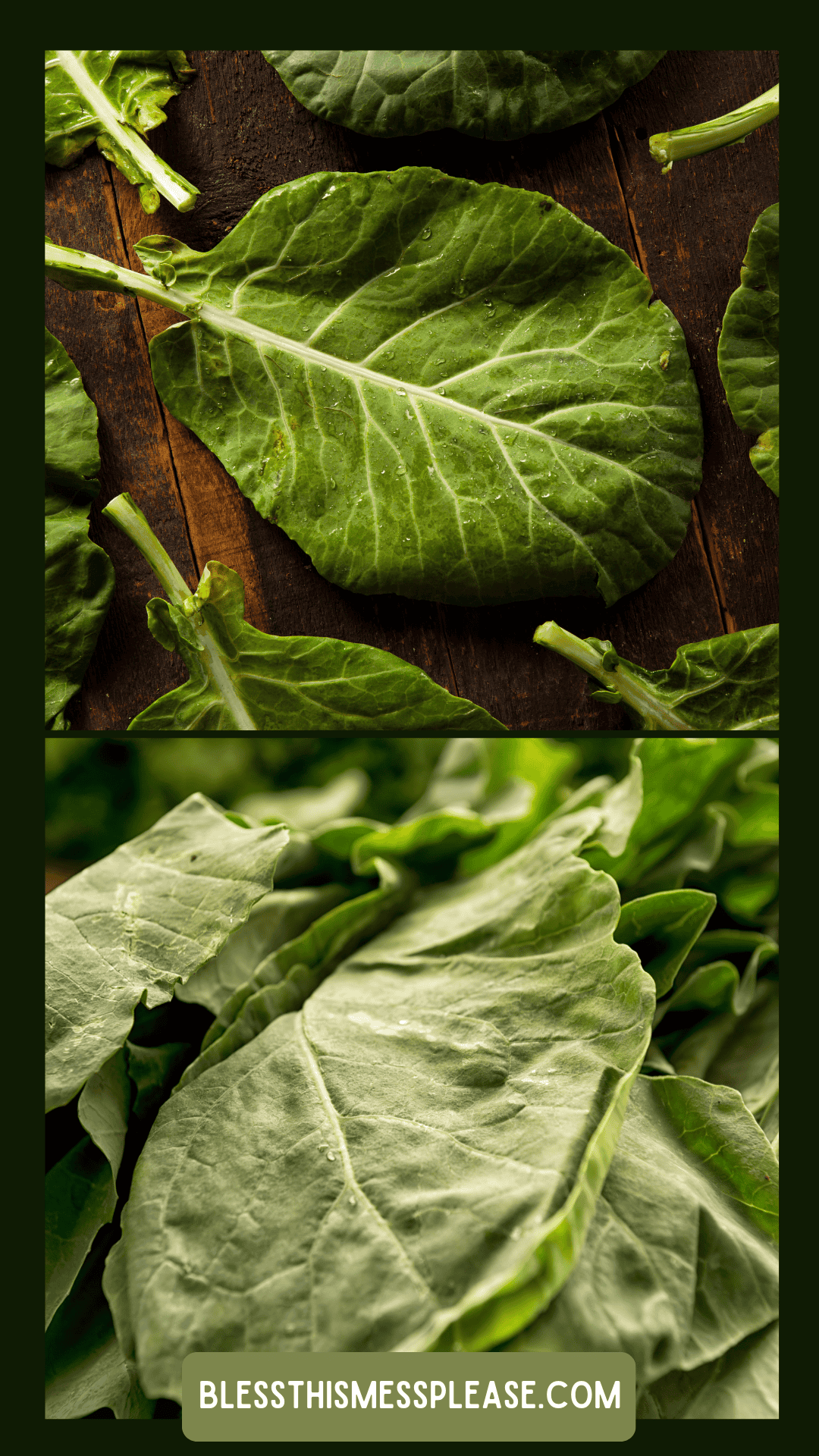 Large, dark green collard green leaves are displayed on a rustic wooden surface in the top section and shown in a close-up pile below. Text at the bottom reads blessthismessplease.com—perfect for learning how to preserve collard greens.