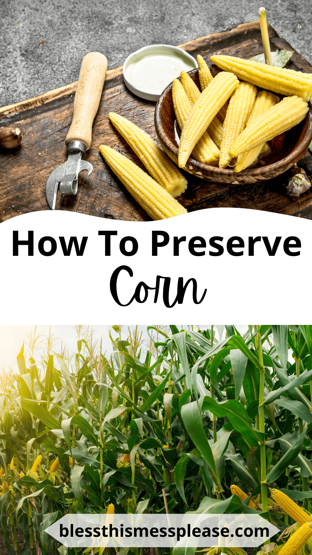 A bowl of baby corn and a corncob cutter rest on a wooden board above text reading how to preserve corn, with a vibrant cornfield pictured below and blessthismessplease.com featured at the bottom.
