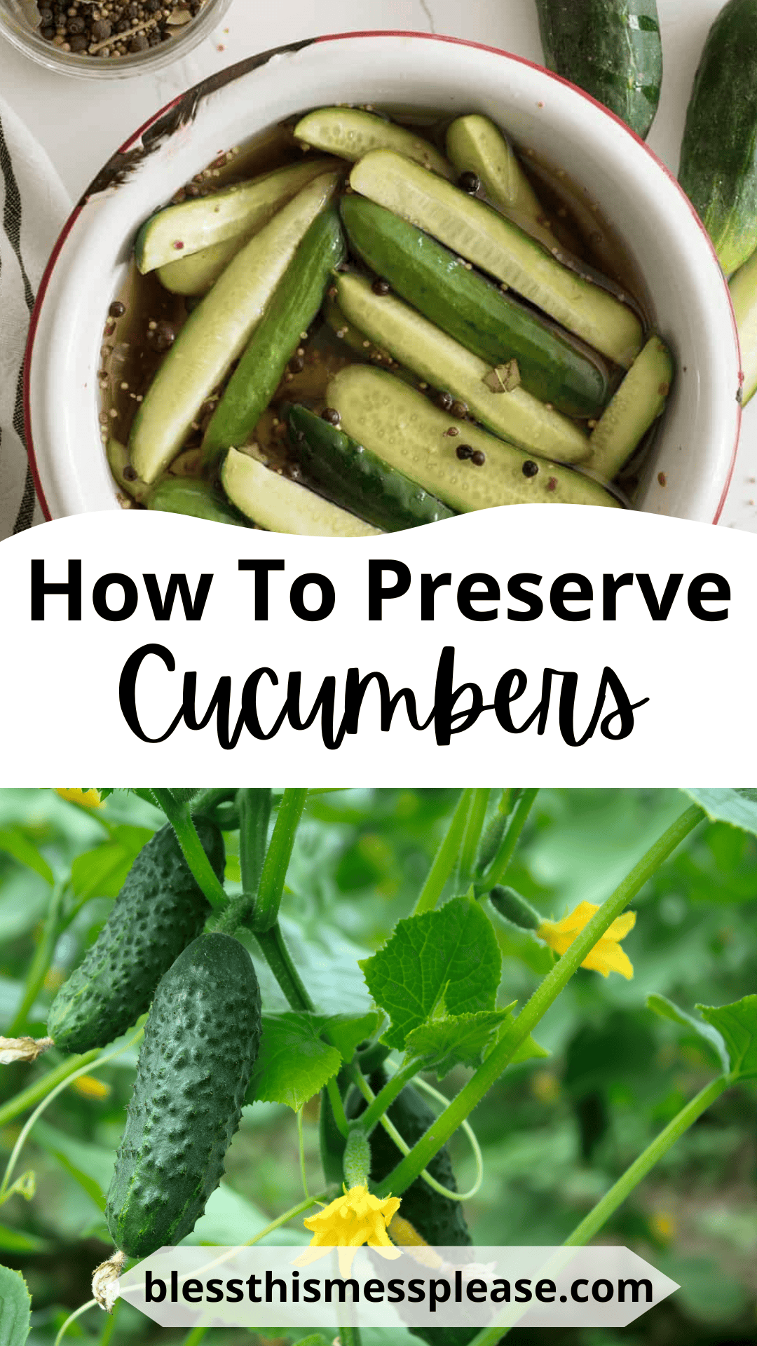 A bowl of pickling cucumbers in brine sits above whole cucumbers growing on a vine with yellow flowers. Text reads, How to preserve cucumber blessthismessplease.com.