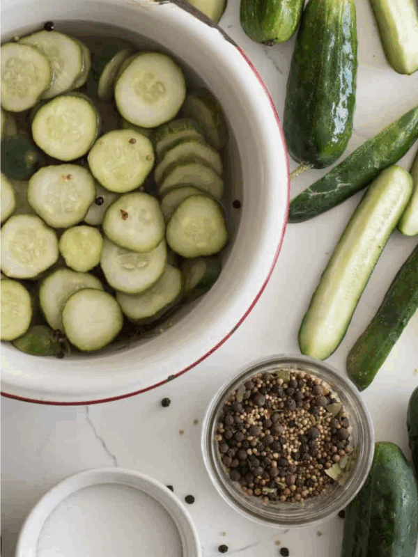 Sliced cucumbers soaking in water, whole cucumbers, pickling spices, and salt are arranged on a white surface. A green label reads “blessthismessplease.com.” Learn how to preserve cucumber with these simple ingredients.