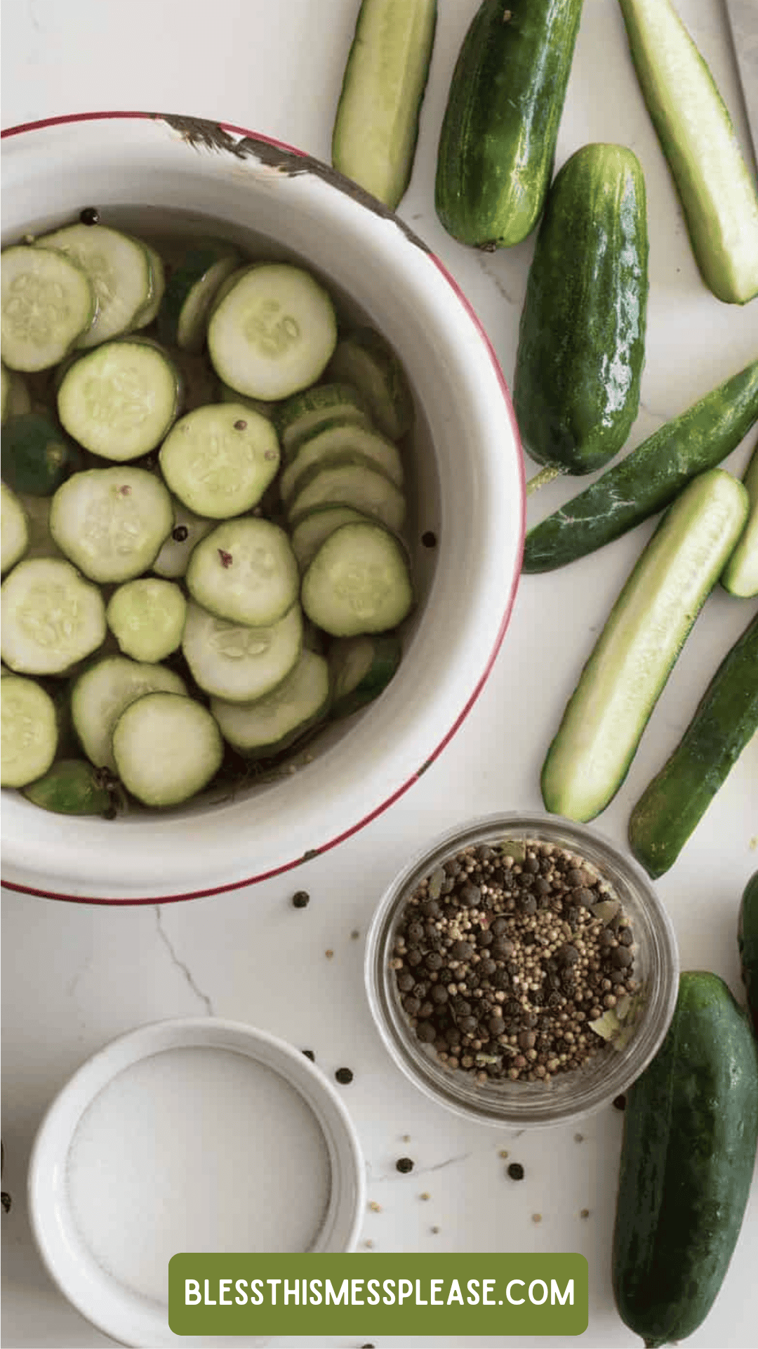 Sliced cucumbers soaking in water, whole cucumbers, pickling spices, and salt are arranged on a white surface. A green label reads “blessthismessplease.com.” Learn how to preserve cucumber with these simple ingredients.