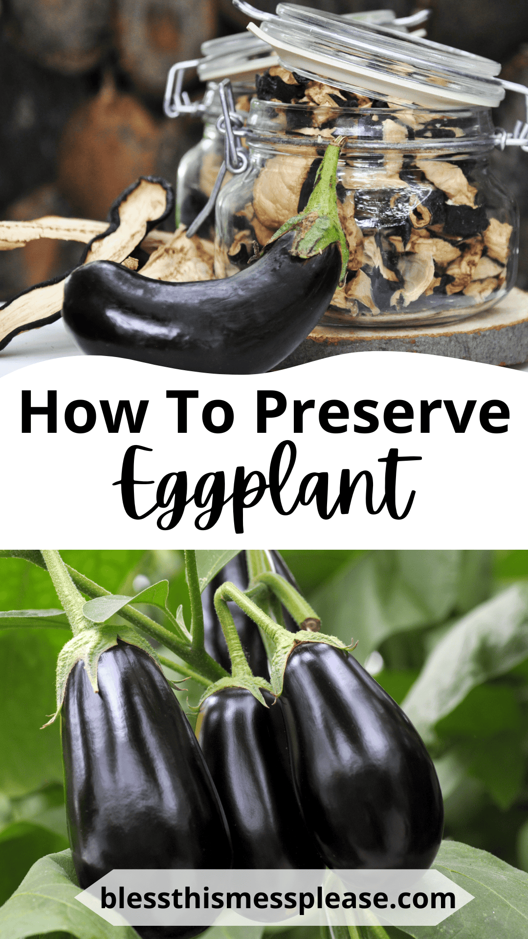 A jar of dried eggplant slices and a fresh eggplant sit on a table; below, three shiny eggplants grow on a plant. Text reads, How to Preserve Eggplant—discover tips for how to preserve eggplant at blessthismessplease.com.