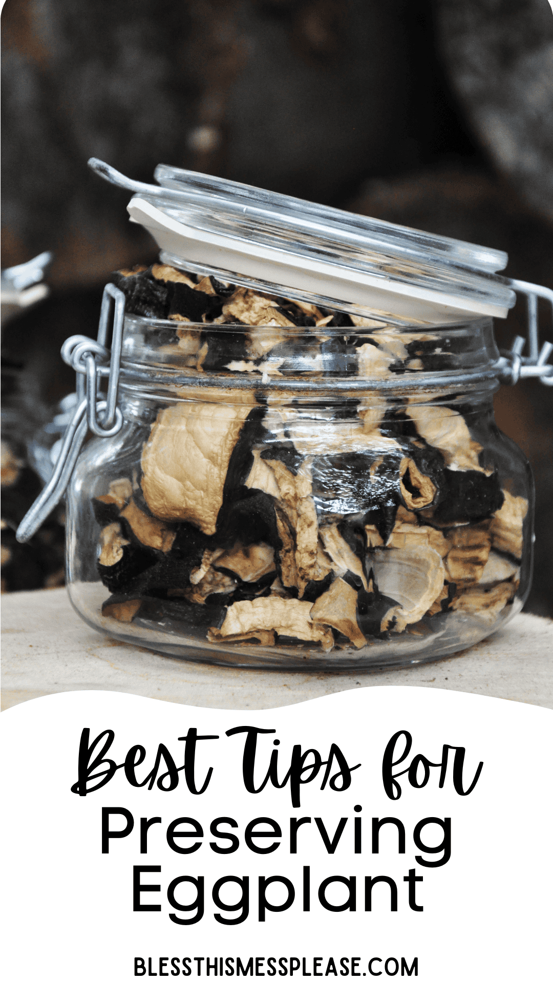 A glass jar filled with dried eggplant slices sits on a wooden surface. Text below reads, Best Tips for How to Preserve Eggplant and blessthismessplease.com.