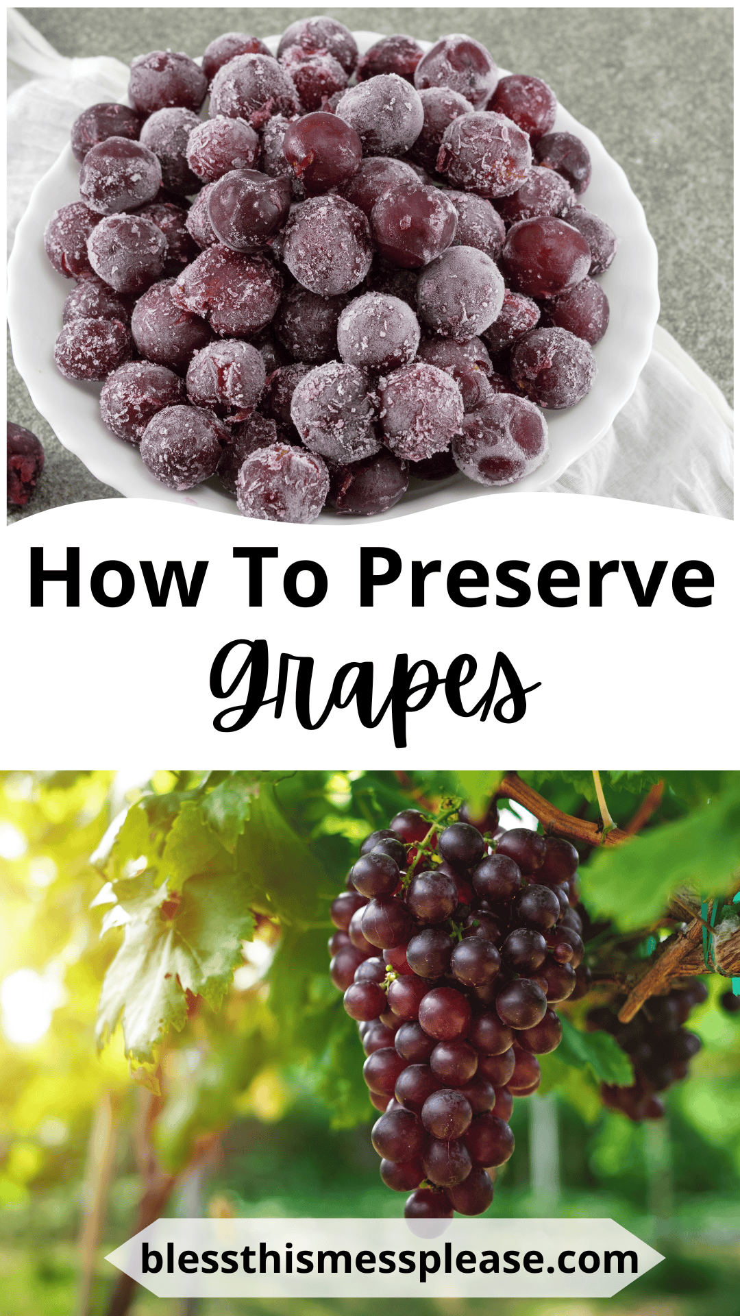 A bowl of frozen grapes sits on a cloth above text reading how to preserve grapes. Below, a bunch of fresh grapes hangs from a vine with the web address blessthismessplease.com at the bottom.