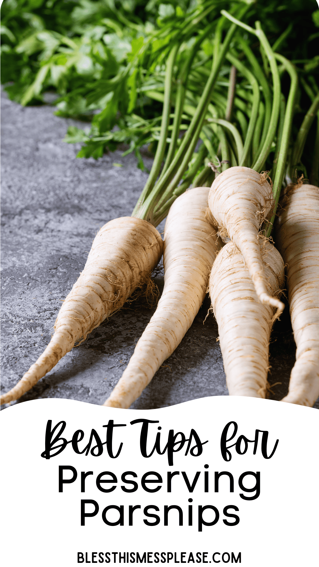 Several fresh parsnips with green tops are arranged on a gray surface, with leafy greens in the background. Text at the bottom reads Best Tips for Preserving Parsnips and blessthismessplease.com.