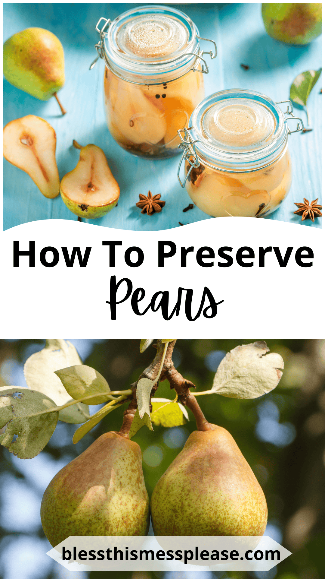 Two jars of preserved pears with spices sit on a blue surface next to fresh pears and pear slices. Below, a photo shows two pears hanging on a tree. Text reads: How To Preserve Pears and blessthismessplease.com.