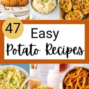 A collage of potato dishes, including mashed potatoes, baked potatoes, curly fries, and potato salad, with text overlay: “47 Easy Potato Recipes” and the website “blessthismessplease.com.”.