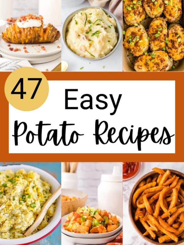 A collage of potato dishes, including mashed potatoes, baked potatoes, curly fries, and potato salad, with text overlay: “47 Easy Potato Recipes” and the website “blessthismessplease.com.”.