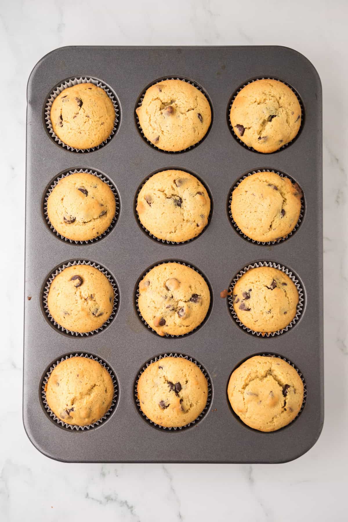 A muffin tin holding 12 freshly baked chocolate chip muffins, each in a paper liner, sits on a white marble surface.