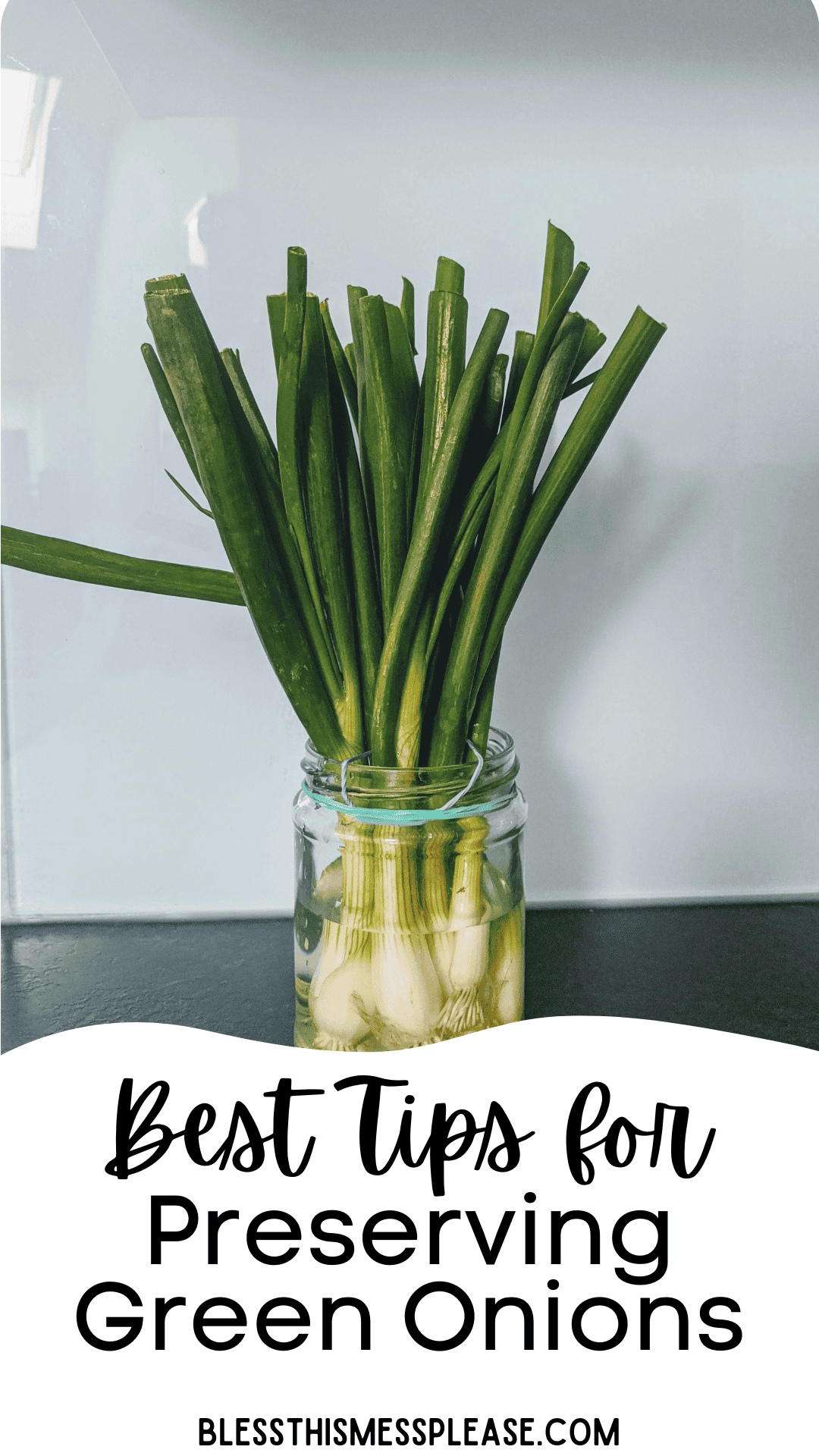 A bunch of green onions with roots sits in a glass jar of water on a counter. Text below reads: Best Tips for How To Preserve Green Onions. blessthismessplease.com.