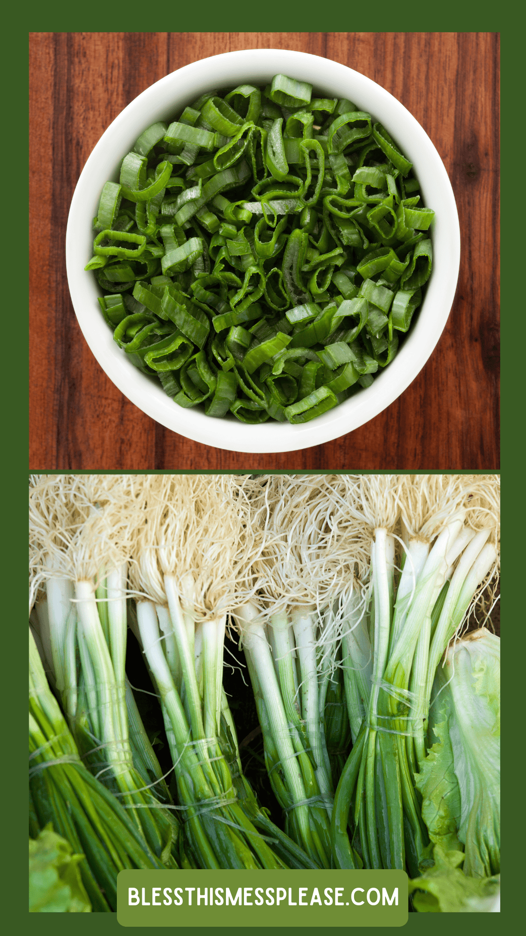 A bowl of sliced green onions sits on a wooden surface above several fresh, whole green onions with roots and leaves intact, illustrating How To Preserve Green Onions. The website blessthismessplease.com is displayed at the bottom.