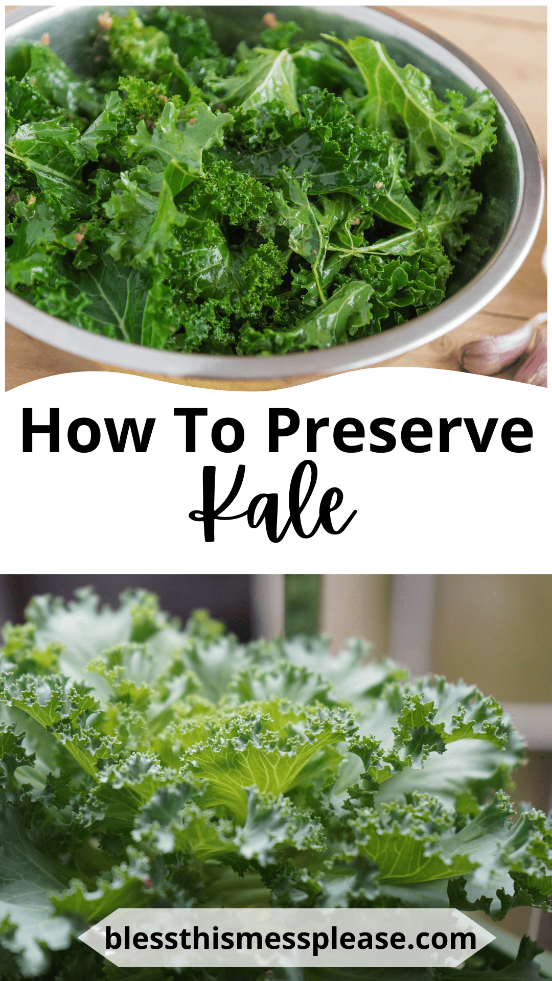 A bowl of fresh, chopped kale sits on a table above text that reads “How To Preserve Kale,” with a close-up of vibrant leaves and how to preserve kale tips featured at blessthismessplease.com below.