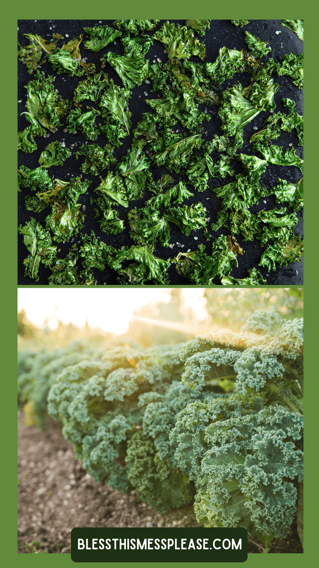 Top: Baked kale chips scattered on a baking tray. Bottom: Fresh kale growing in a garden, showing how to preserve kale from harvest to snack. Green border surrounds the images. Text at the bottom reads blessthismessplease.com.