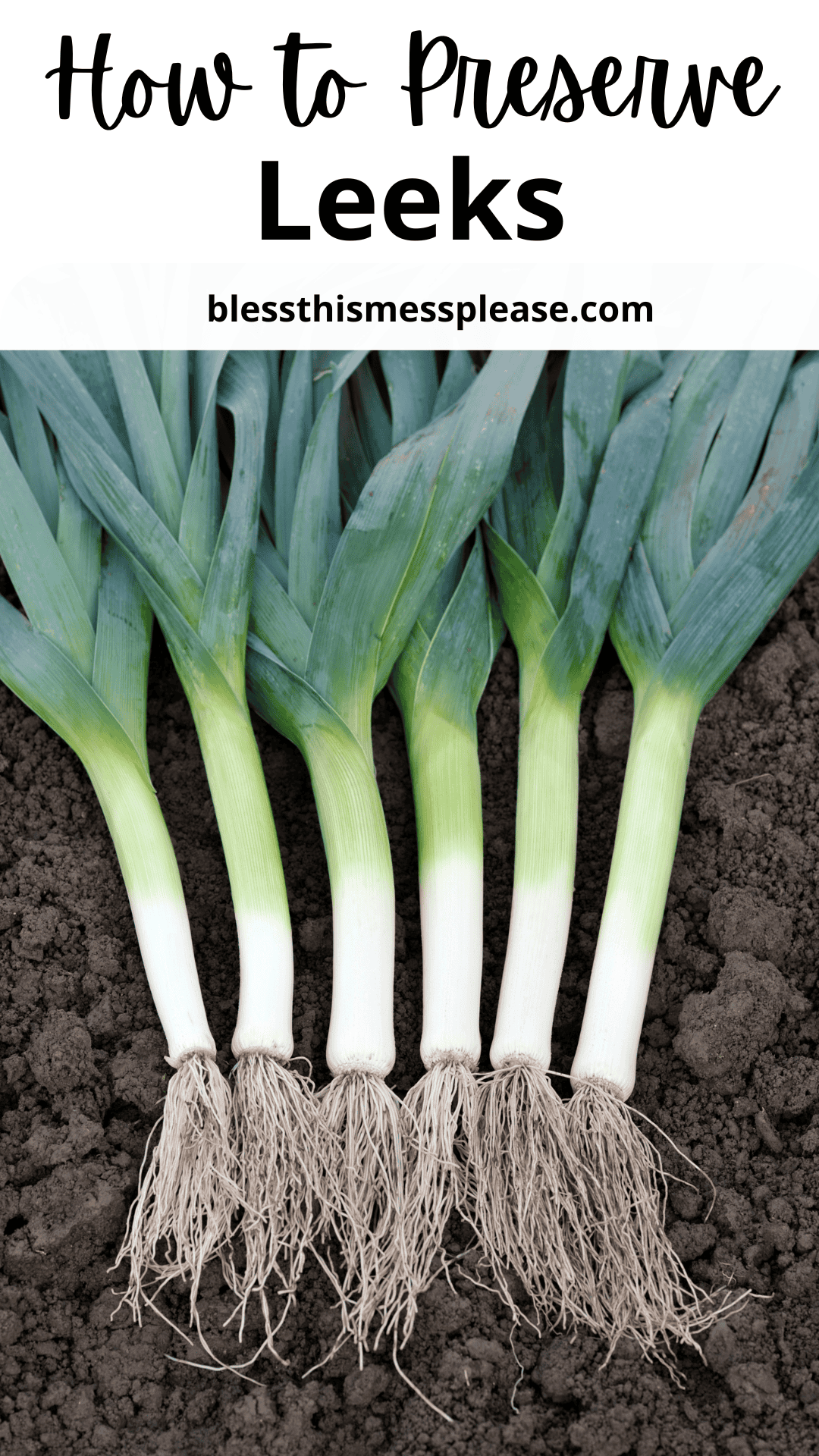 Five freshly harvested leeks with roots and green leaves are laid out side by side on dark soil. Text at the top reads how to preserve leeks and blessthismessplease.com.