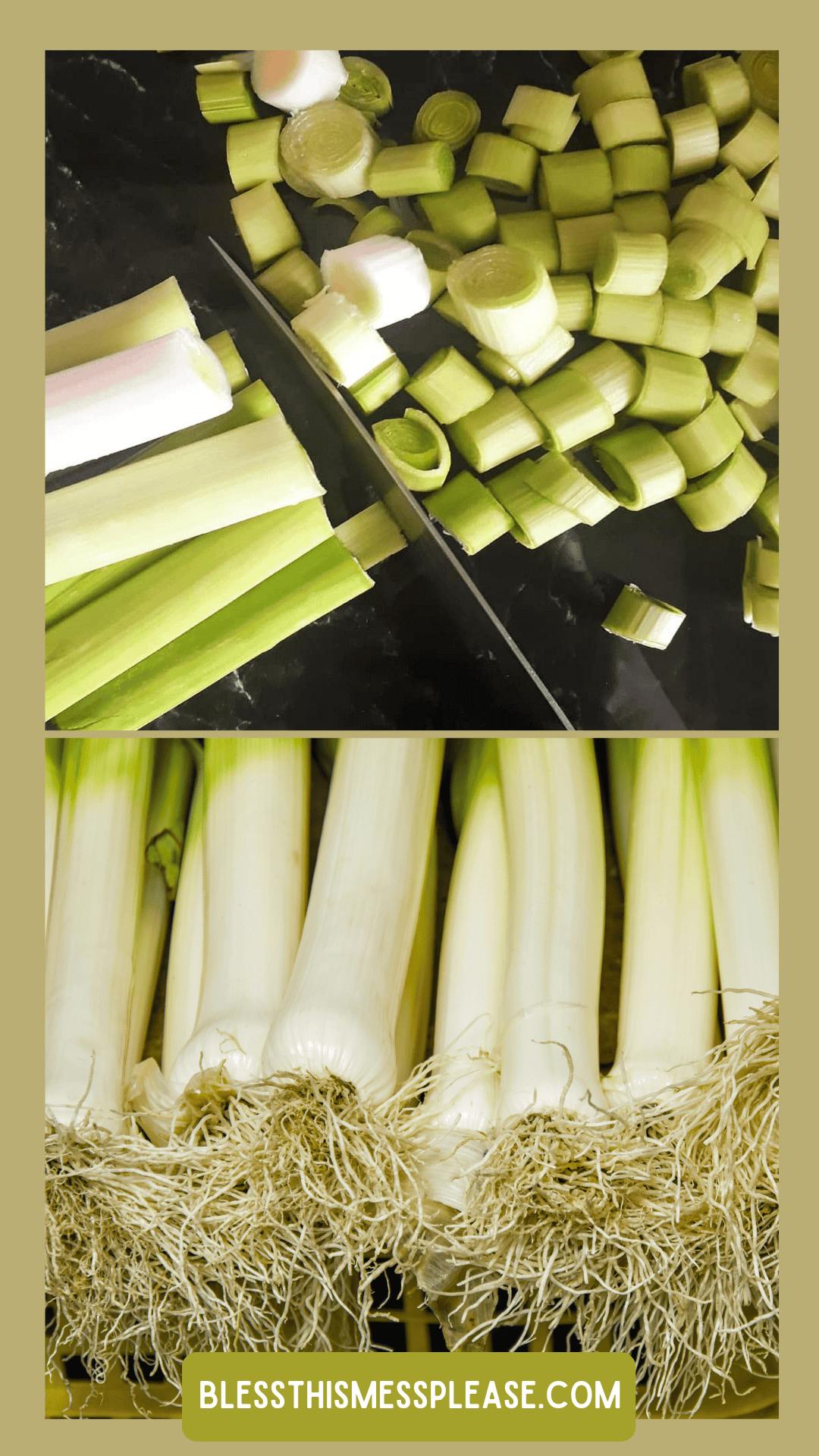 Top: Chopped leeks and a knife on a cutting board. Bottom: Whole leeks with roots attached, lined up closely—perfect for learning how to preserve leeks. Text at the bottom reads “blessthismessplease.com”.