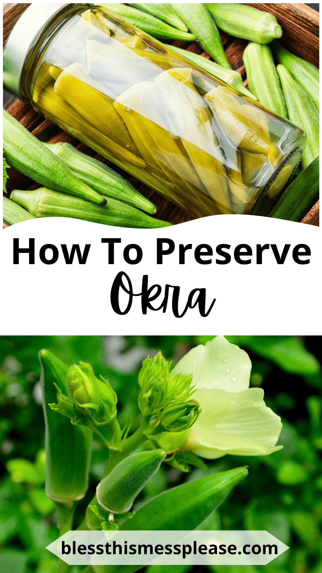 A jar filled with pickled okra sits on fresh okra pods. Below, an okra plant features a pale yellow flower and buds. Text reads how to preserve okra and blessthismessplease.com.