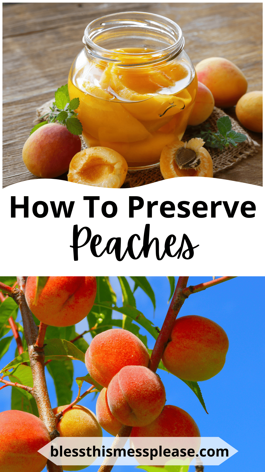 A jar of preserved peach slices with fresh peaches on a table above text that reads “How to Preserve Peaches,” showing helpful steps for anyone learning how to preserve peaches, plus ripe peaches growing on a tree and a website link at the bottom.