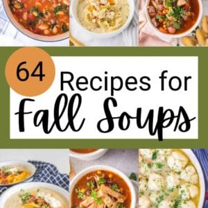 A collage of hearty recipes for fall soup surrounds text that reads “64 Recipes for Fall Soups” on a white background, with bowls of various colorful soups above and below the text.