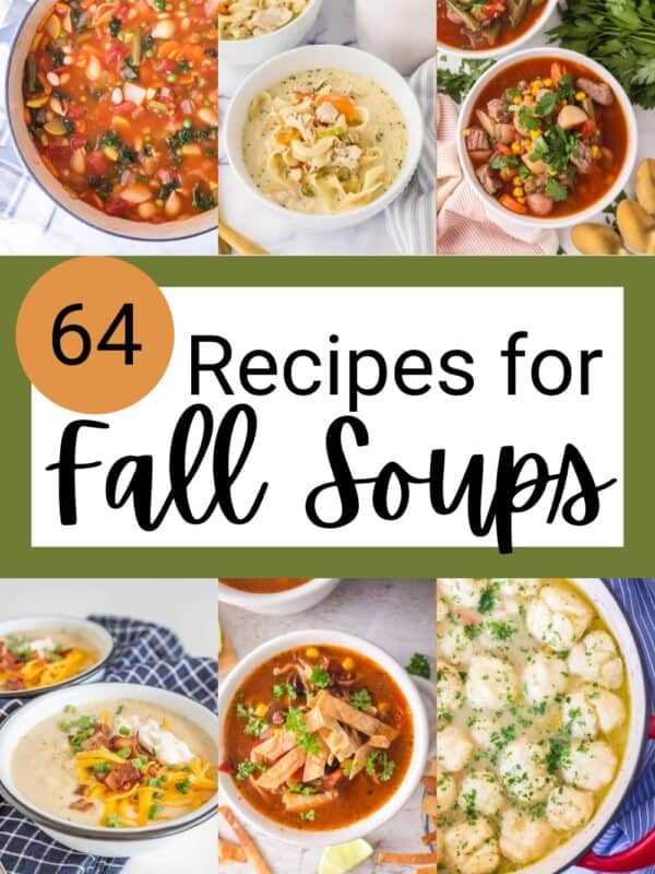 A collage of hearty recipes for fall soup surrounds text that reads “64 Recipes for Fall Soups” on a white background, with bowls of various colorful soups above and below the text.