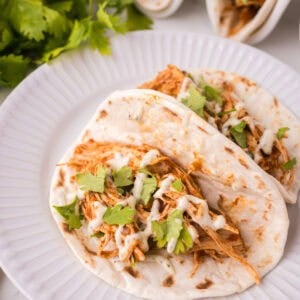 Two soft instant pot chicken tacos filled with shredded chicken, fresh cilantro, and a creamy white sauce are served on a white plate, with fresh cilantro leaves visible in the background.