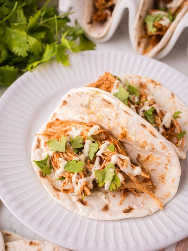 Two soft instant pot chicken tacos filled with shredded chicken, fresh cilantro, and a creamy white sauce are served on a white plate, with fresh cilantro leaves visible in the background.