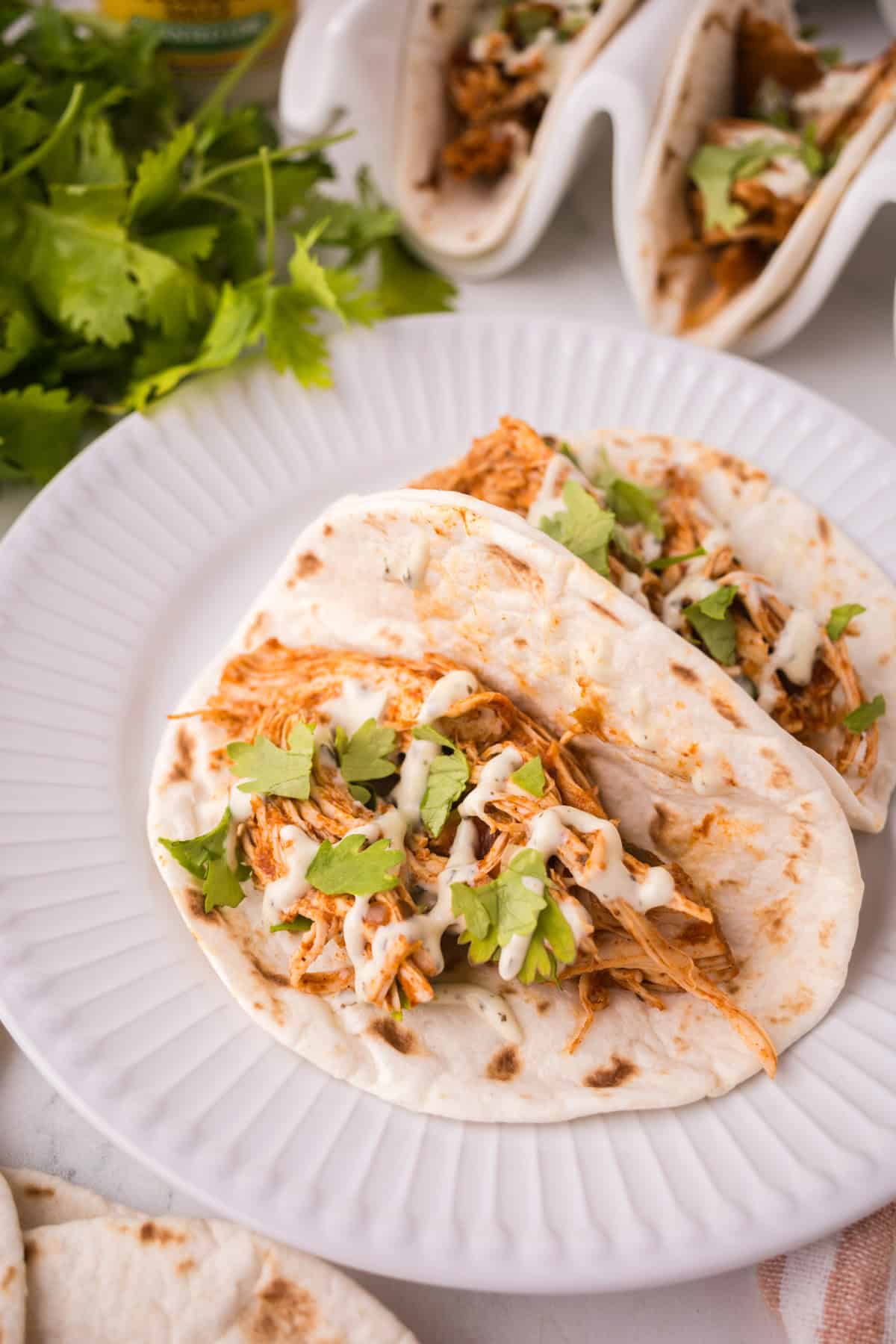 Two soft instant pot chicken tacos filled with shredded chicken, fresh cilantro, and a creamy white sauce are served on a white plate, with fresh cilantro leaves visible in the background.