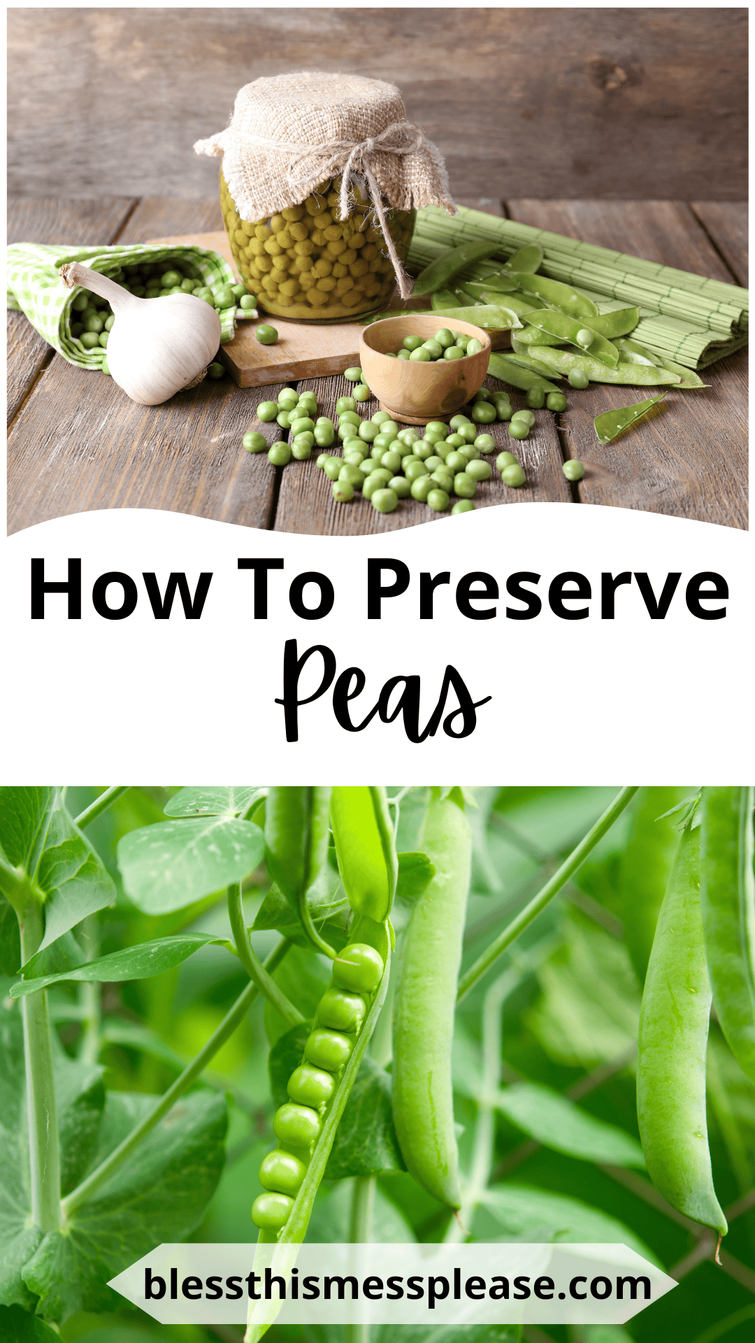 A jar of preserved peas, fresh peas in a bowl, scattered on a table with garlic and pods; below, green pea pods growing on plants. Text: How to preserve peas and blessthismessplease.com.