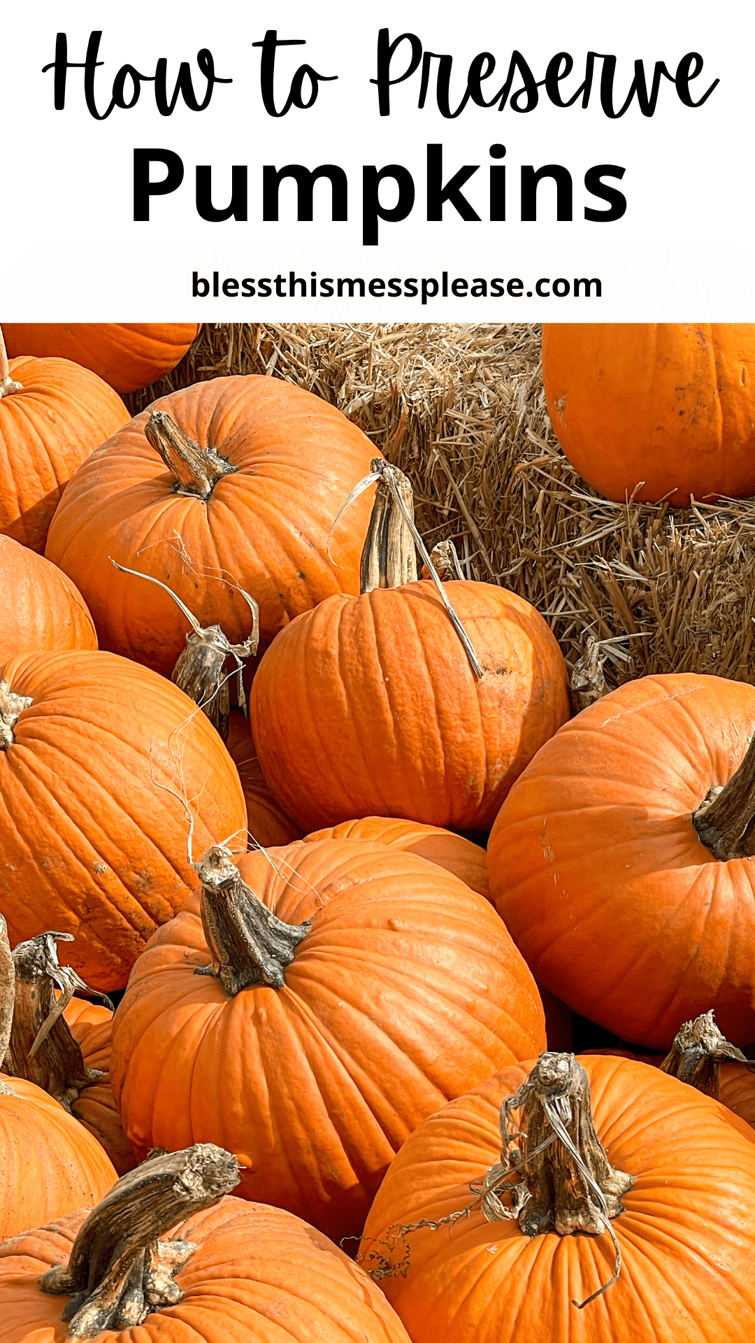 A group of bright orange pumpkins rests on a bed of hay. Text at the top reads how to preserve pumpkins with blessthismessplease.com below.