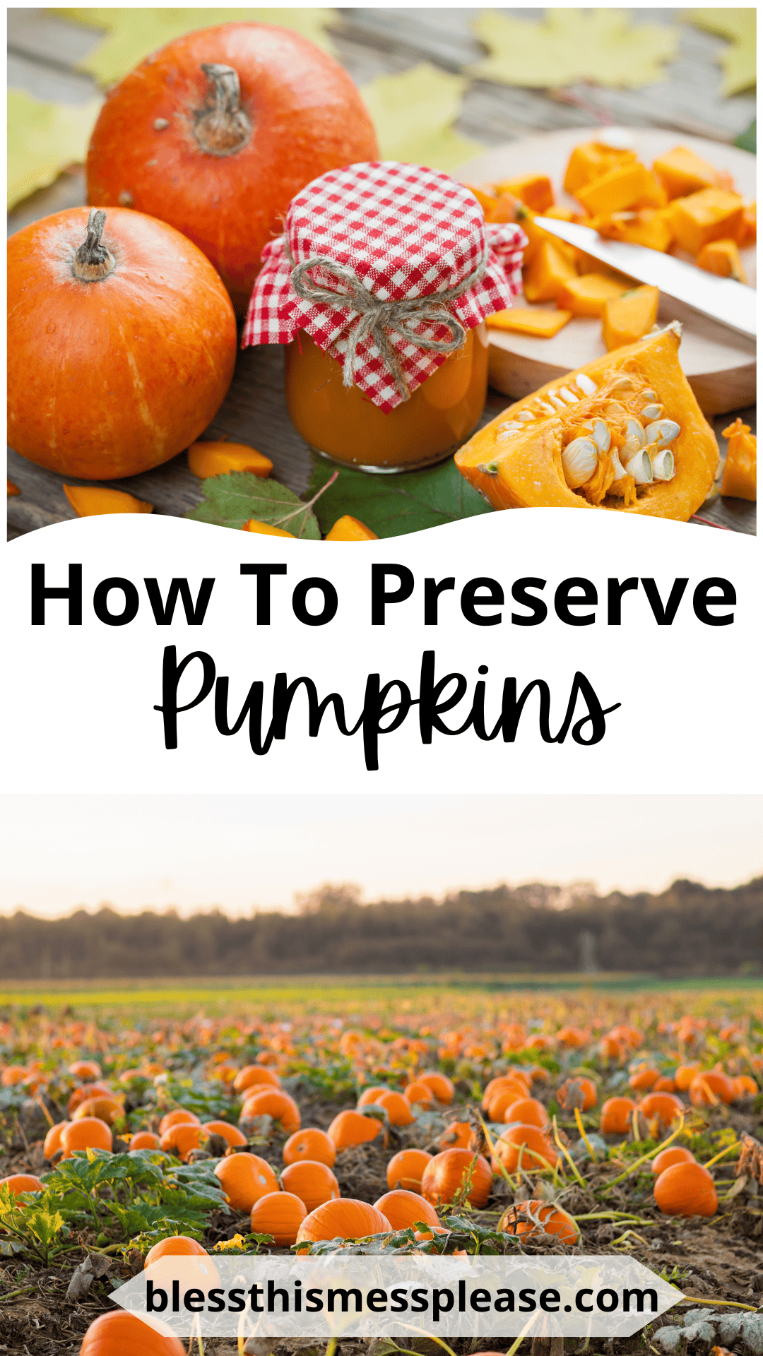 Two pumpkins, a jar of preserves, and pumpkin slices sit on a table. Below, the text How to Preserve Pumpkins explains how to keep your harvest fresh. A field of pumpkins and blessthismessplease.com appear at the bottom.