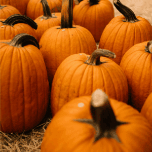 A group of orange pumpkins with dark stems arranged on straw, with more pumpkins and gourds in the background. Curious about how to preserve pumpkins? A label at the bottom reads “BLESSTHISMESSPLEASE.COM”.