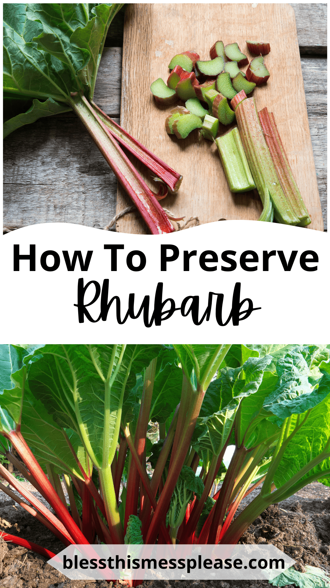 A cutting board with freshly chopped rhubarb sits above text that reads “How To Preserve Rhubarb,” guiding you step by step on how to preserve rhubarb. Below, red stalks and large green leaves flourish in a vibrant garden.