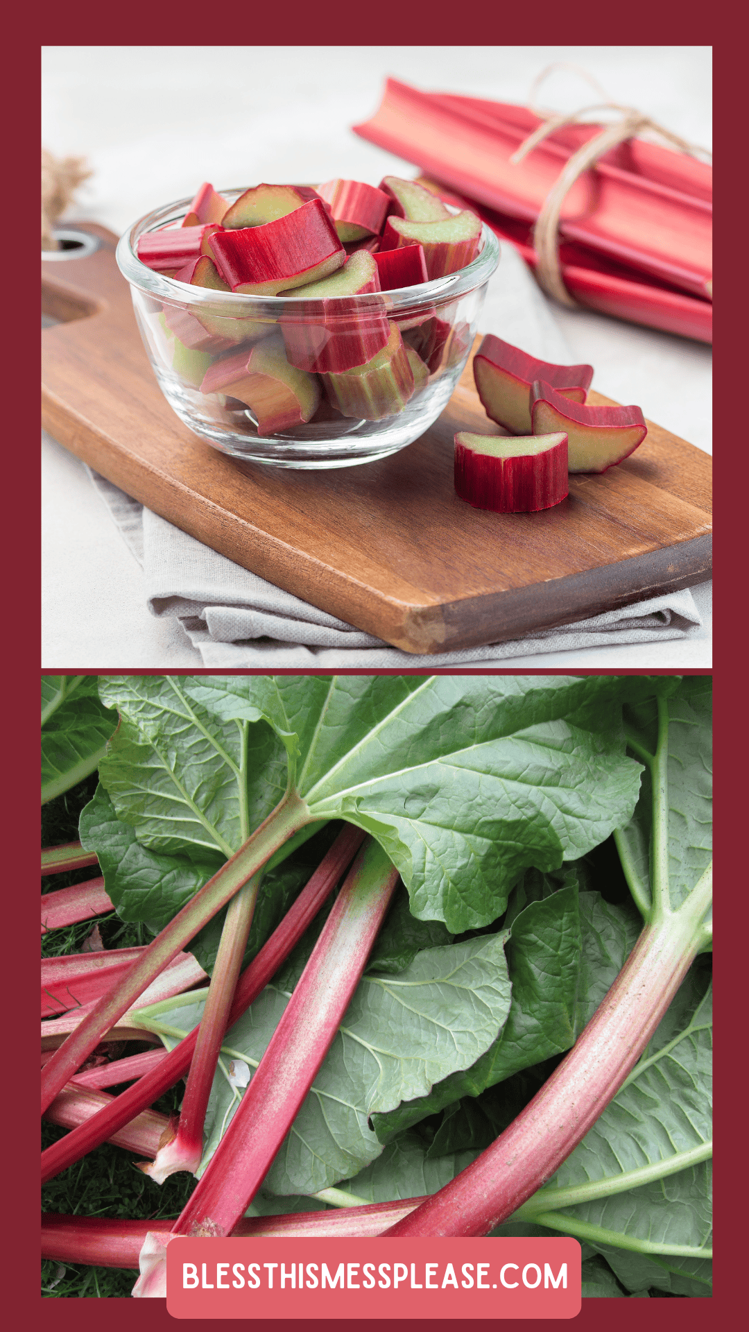 A glass bowl of chopped rhubarb on a wooden board is shown above fresh rhubarb stalks with green leaves, perfect for learning how to preserve rhubarb. Text at the bottom reads “blessthismessplease.com”.