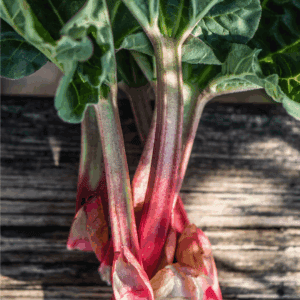 Freshly harvested rhubarb stalks with green leaves rest on a wooden surface. The pink and red stalks are perfect for those curious about how to preserve rhubarb. A label at the bottom reads blessthismessplease.com.