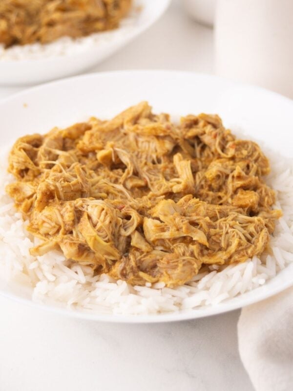 A white plate filled with shredded chicken korma in a creamy sauce served over a bed of white rice, with part of a striped napkin visible beside the plate.