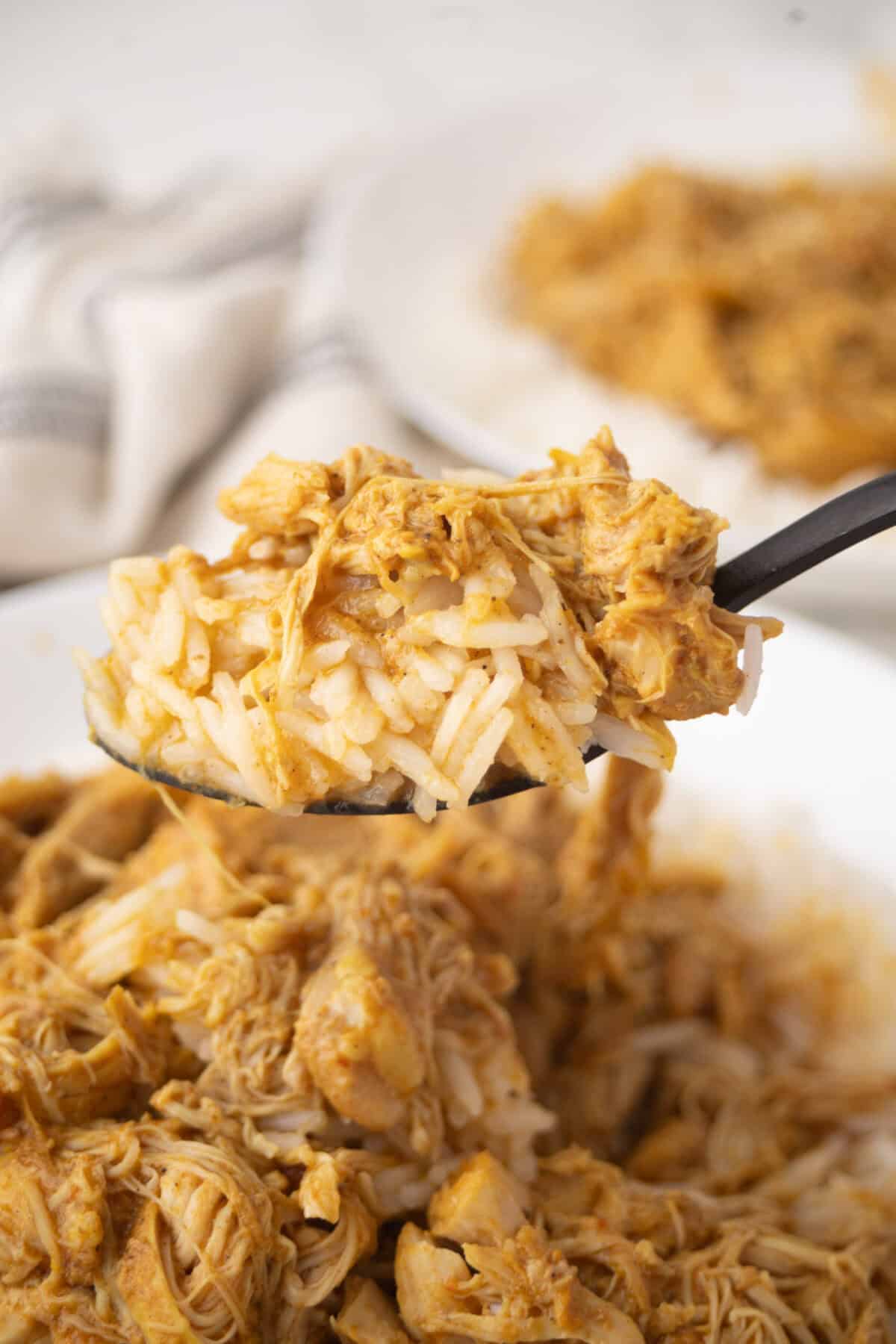 A close-up of a spoonful of shredded chicken mixed with white rice, reminiscent of chicken korma, held above a plate filled with the same dish. A napkin and another plate are blurred in the background.